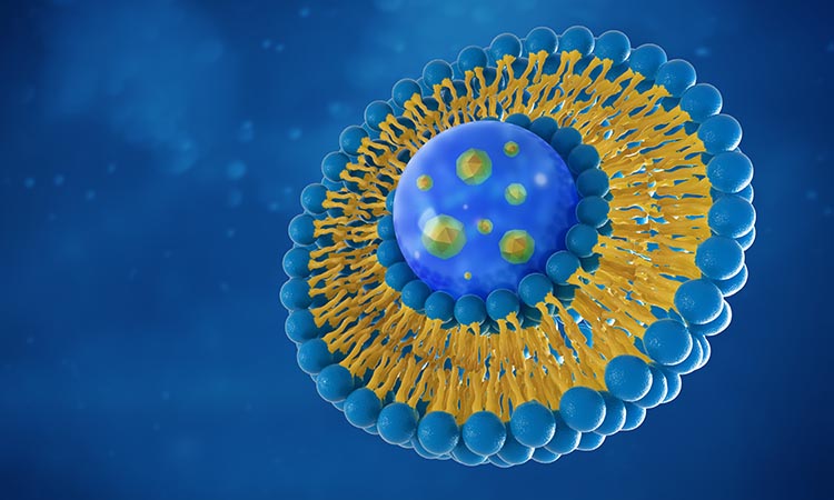 Liposome Analysis and Characterization