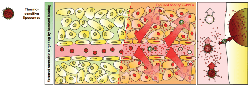 Lysolipid Thermally Sensitive Liposomes Production