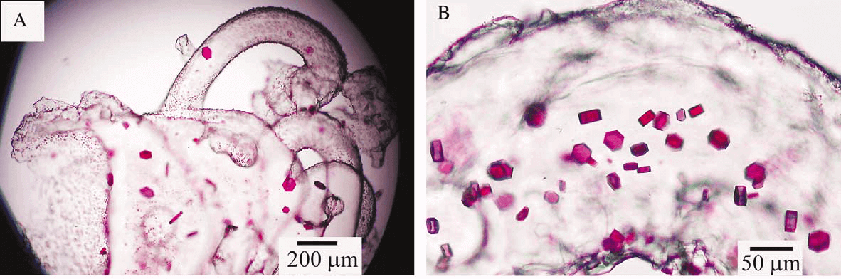 Membrane Protein Crystallization Kits