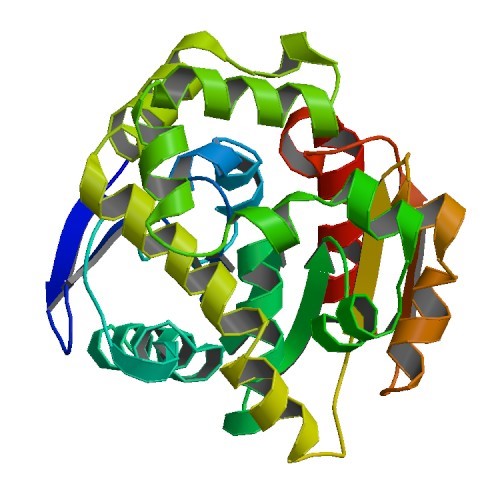 Integrating AlphaFold into the Drug Discovery Process
