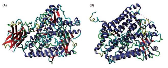 Mempro™ Cell-Based Lipoxygenase Production