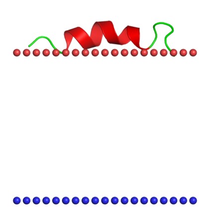 Mempro™ Cell-Based Membrane Anchor Helices of Peripheral Proteins Production