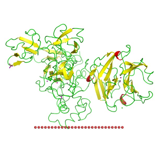 Mempro™ Cell-Based PGBD-Like Superfamily Production