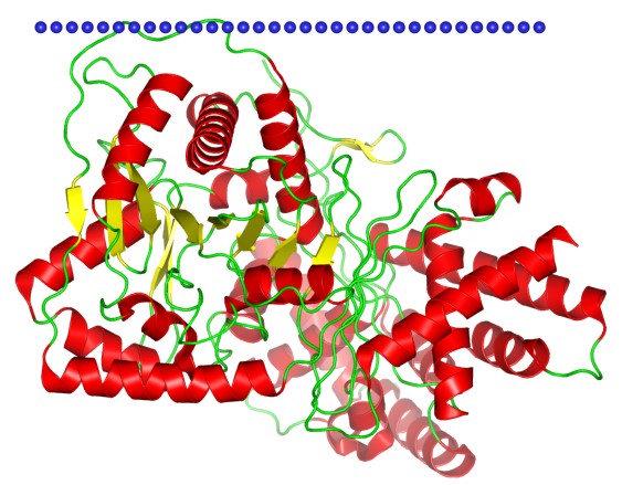 Mempro™ Cell-Free CoA-dependent Acyltransferases Production