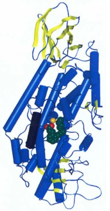 Mempro™ Cell-Free Lipoxygenase Production