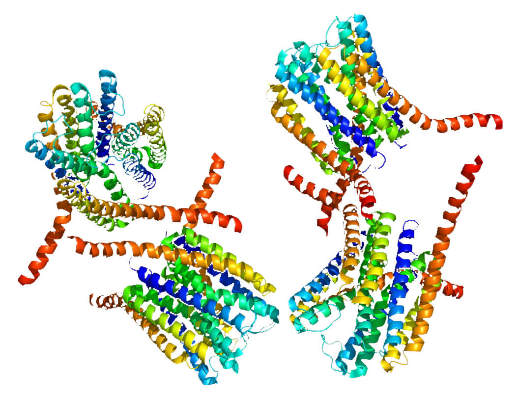 Mempro™ Cell-Free MAPEG (Eicosanoid and Glutathione metabolism proteins) Production