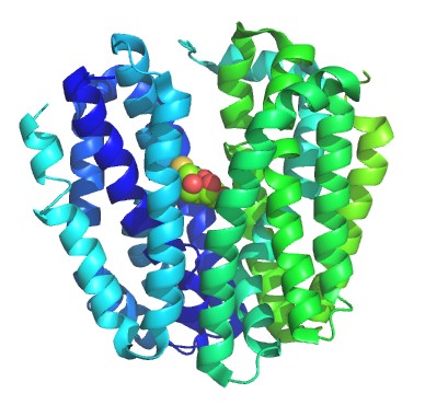 Mempro™ Cell-Free Major Facilitator Superfamily (MFS) Production