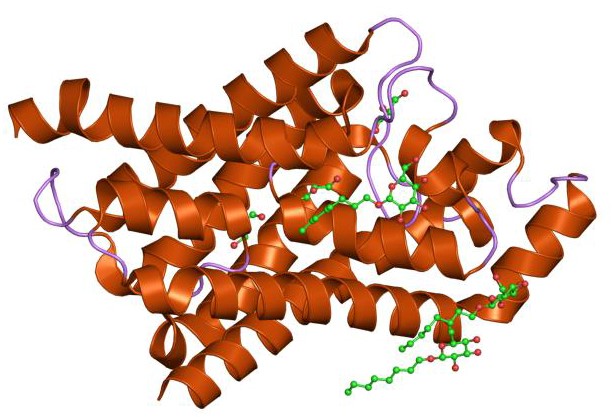 Mempro™ Cell-Free Major Intrinsic Protein (MIP)/FNT Superfamily Production