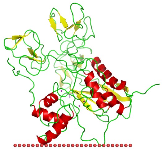 Mempro™ Cell-Free PGBD Superfamily Production