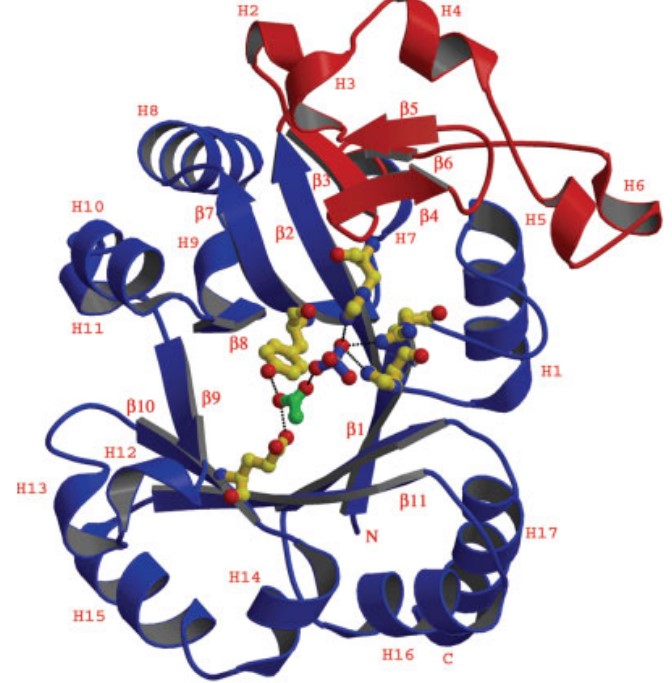 Mempro™ Cell-Free PLC-like Phosphodiesterase Production