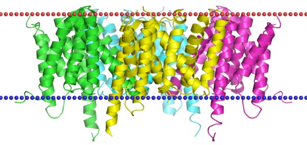 Mempro™ Cell-Free Peptidase AD Production