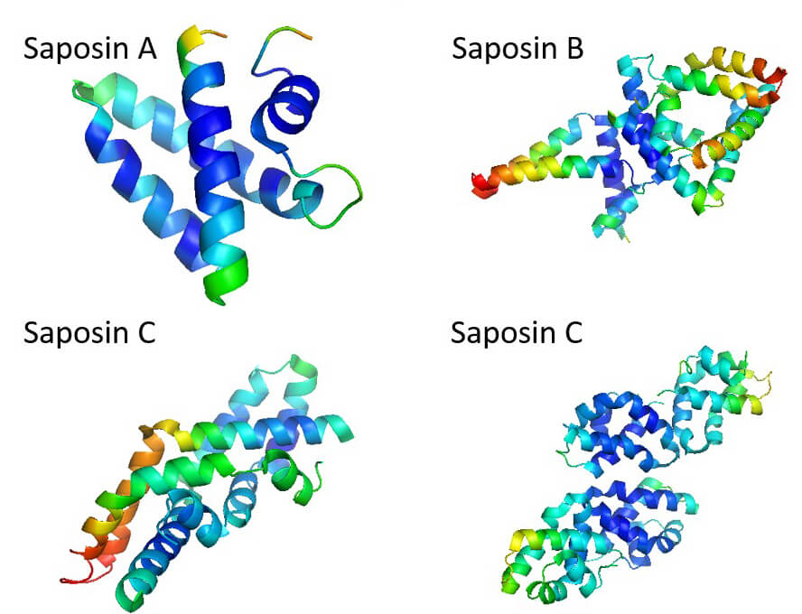 Mempro™ Cell-Free Saposin Production