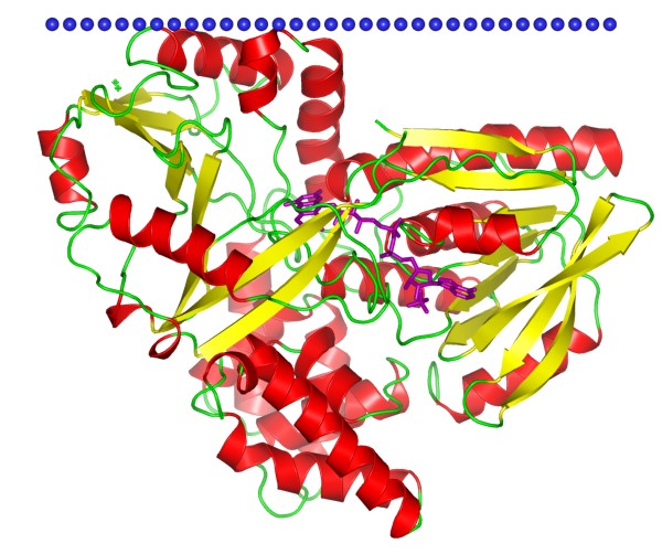 Mempro™ Cell-Free Transmembrane Proteins with NAD(P)-binding Rossmann-fold Domains Production