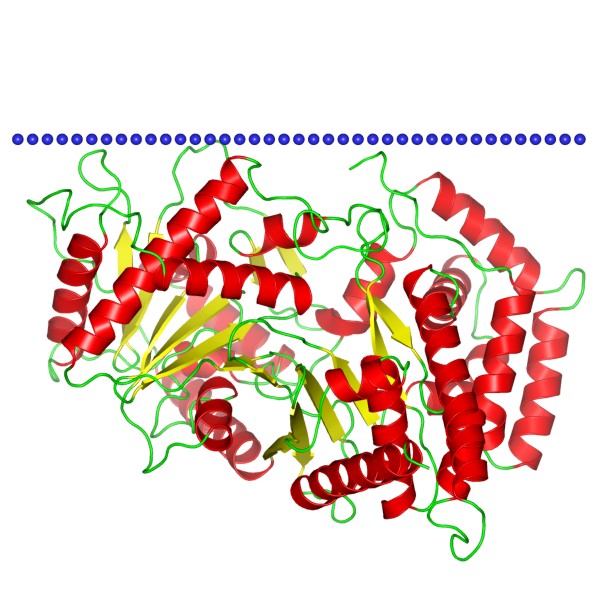 Mempro™ CoA-dependent Acyltransferases Production Using Virus-Like Particles