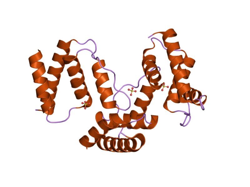 Mempro™ Detergent-Free Acyl-CoA-Binding Protein (ACBP) Production