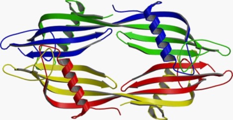 Mempro™ Detergent-Free Alpha/Beta-Hydrolase Production