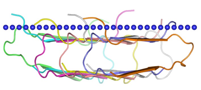 Mempro™ Detergent-Free Amyloid Beta-sheet Peptides Production