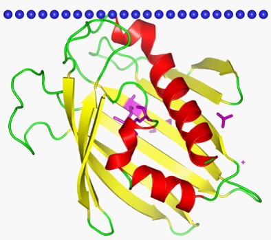 Mempro™ Detergent-Free Bet V1-Like Protein Production