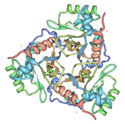 Mempro™ Detergent-Free CoA-Dependent Acyltransferases Production