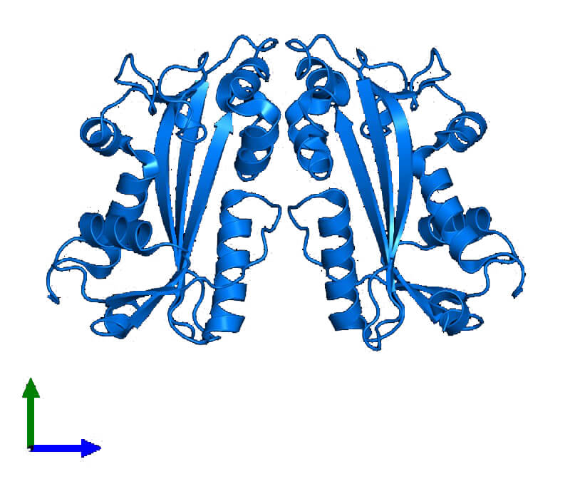 Mempro™ Detergent-Free DNase I-Like Protein Production