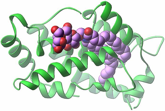 Mempro™ Detergent-Free Glycolipid Transfer Protein Production