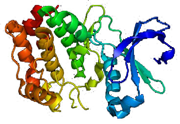 Mempro™ Detergent-Free Kinase Enzyme Family Production