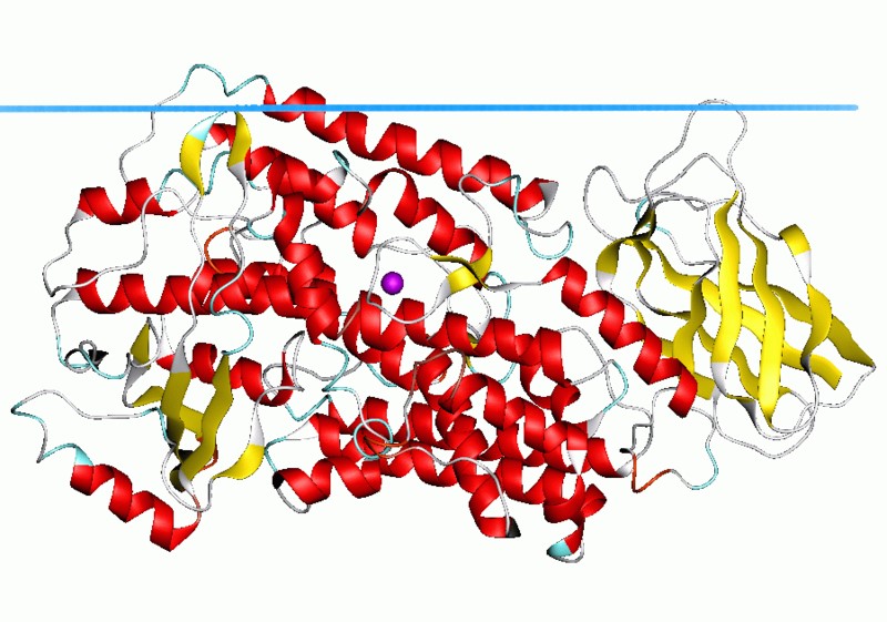 Mempro™ Detergent-Free Lipoxygenase Production