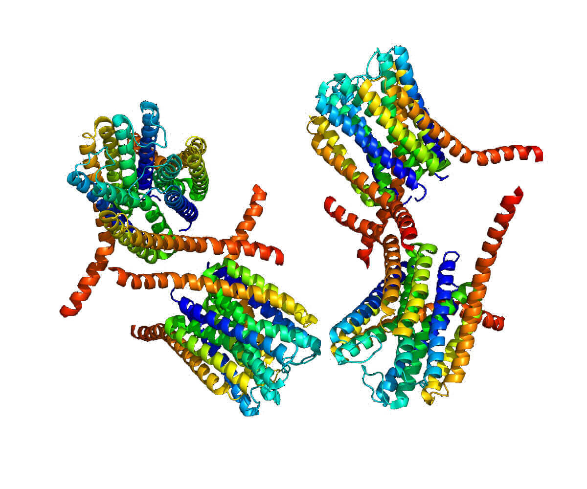 Mempro™ Detergent-Free MAPEG (Eicosanoid and Glutathione Metabolism Proteins) Production