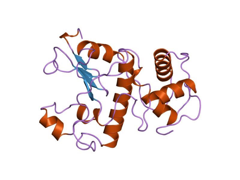 Mempro™ Detergent-Free PGBD-Like Superfamily Production