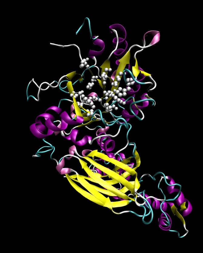 Mempro™ Detergent-Free PLC-like Phosphodiesterase Production