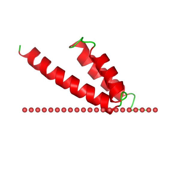 Mempro™ Detergent-Free Peptide Fragments of Water-soluble Protein Production