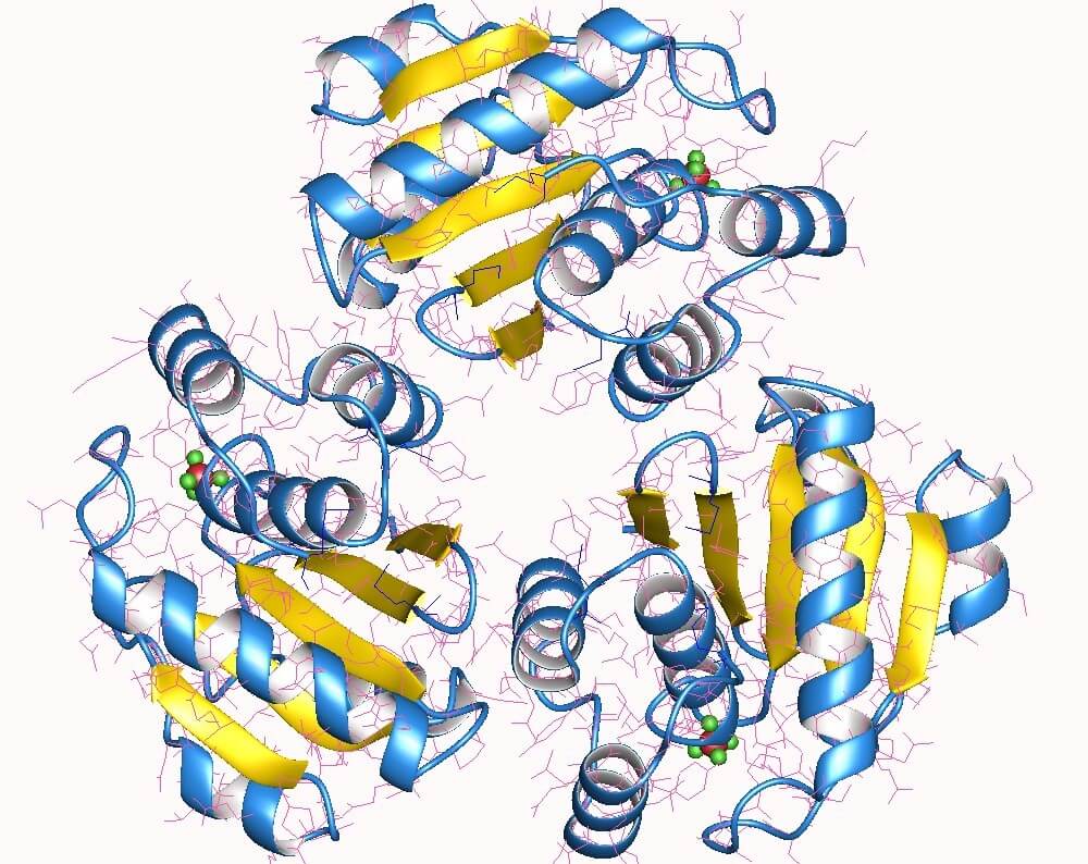 Mempro™ Detergent-Free Phosphotyrosine Protein Phosphatases II Production