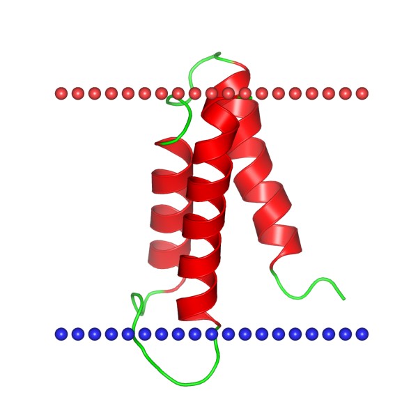 Mempro™ Detergent-Free Transmembrane Proteins 14 Production