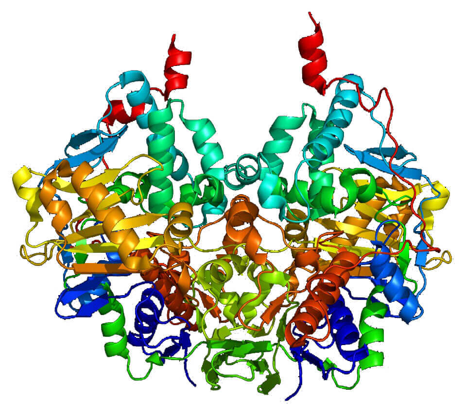 Mempro™ Detergent-Free Transmembrane Proteins with NAD (P)-Binding Rossmann-Fold Domains Production