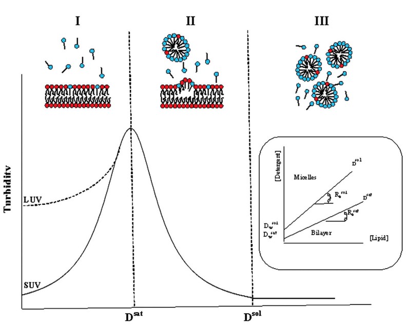 Mempro™ Detergent-solubilized System for Membrane Proteins Reconstituted in Nanodisc 