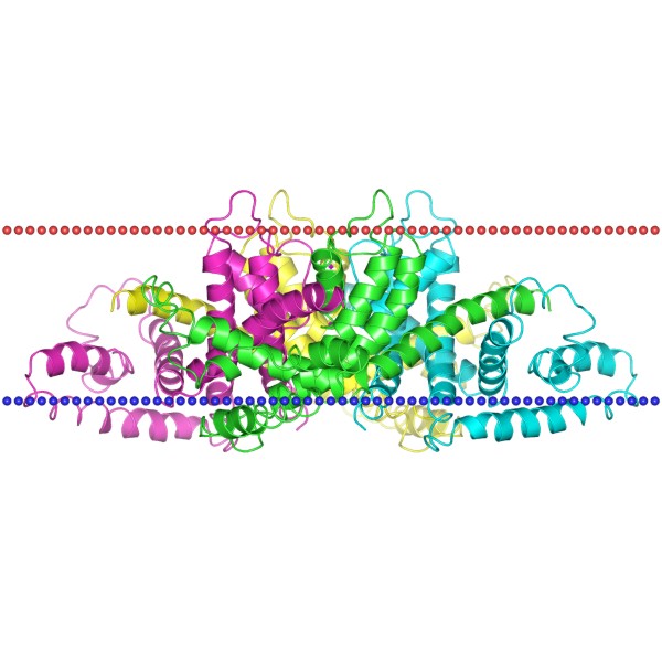 Mempro™ Ion Channel Superfamily Production Using Virus-Like Particles