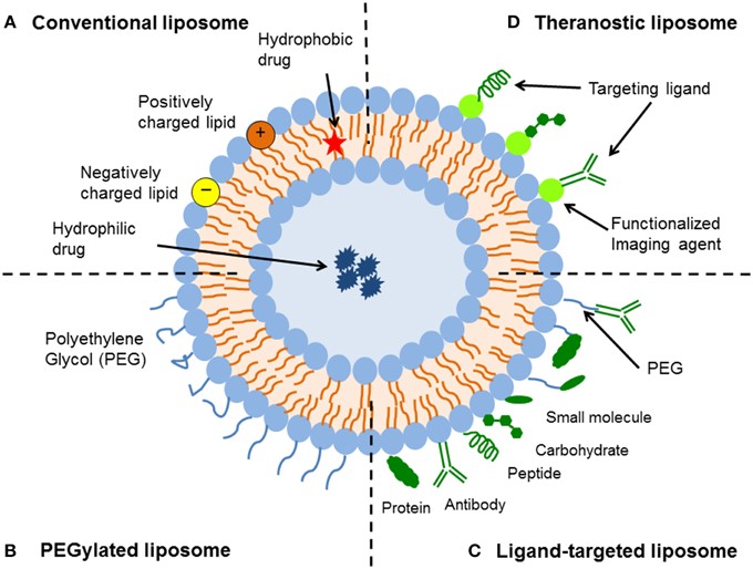 Mempro™ Liposome Technology