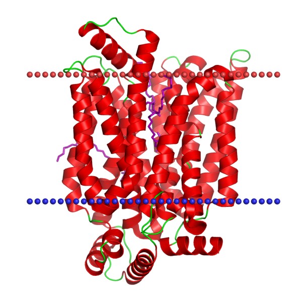 Mempro™ Major Facilitator Superfamily (MFS) Production Using Virus-Like Particles