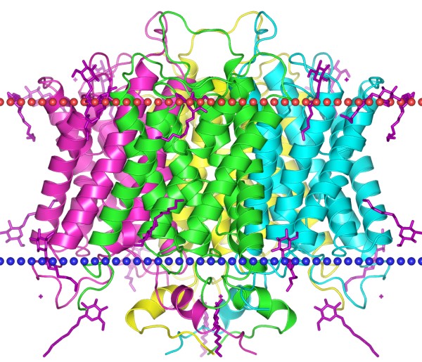 Mempro™ Major Intrinsic Protein (MIP)/FNT Superfamily Production Using Virus-Like Particles