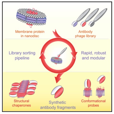 Mempro™ Nanodisc Application