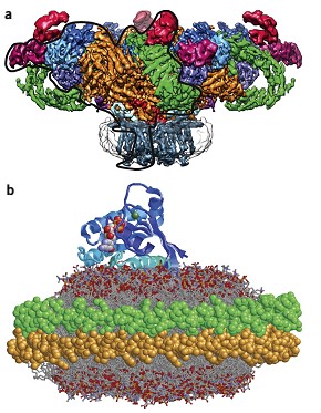 Mempro™ Nanodisc for Structural Investigation of Membrane Proteins