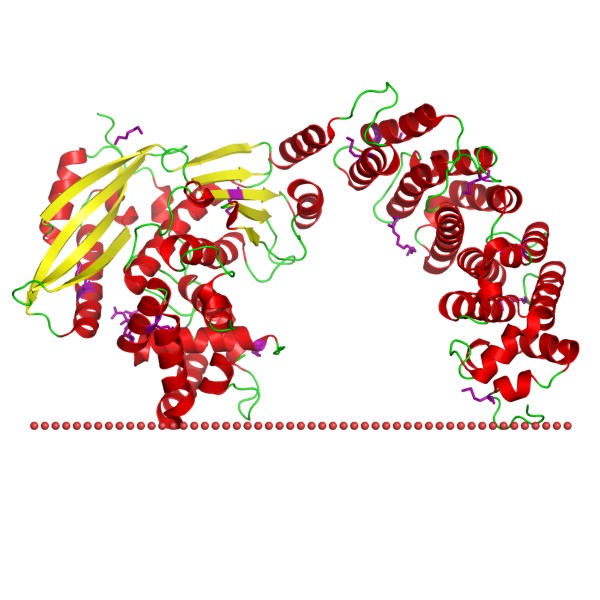 Mempro™ PGBD-Like Superfamily Protein Production Using Virus-Like Particles