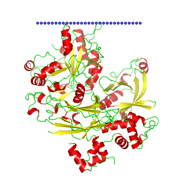 Mempro™ PLC-like Phosphodiesterase Production Using Virus-Like Particles