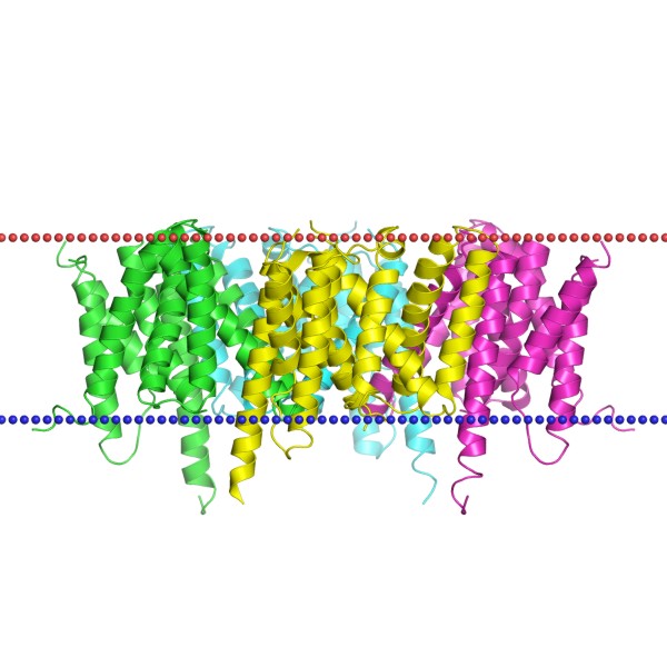 Mempro™ Peptidase AD Production Service Using Virus-Like Particles
