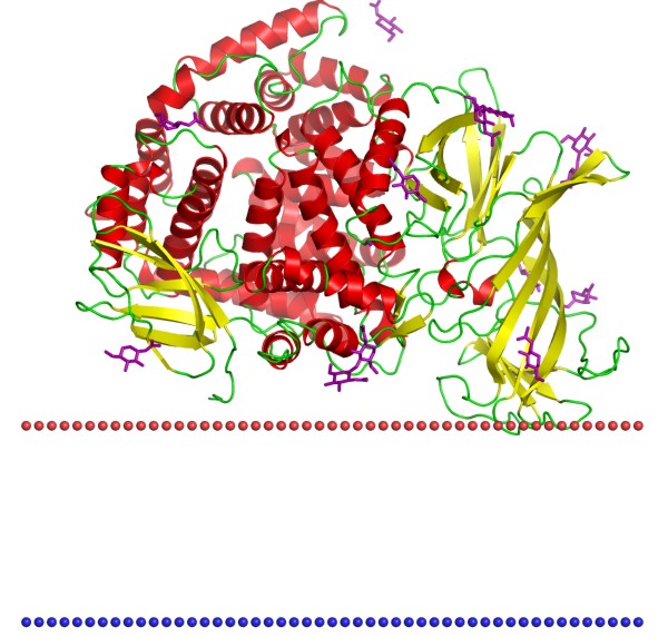 Mempro™ Peptidase MA Production Using Virus-Like Particles