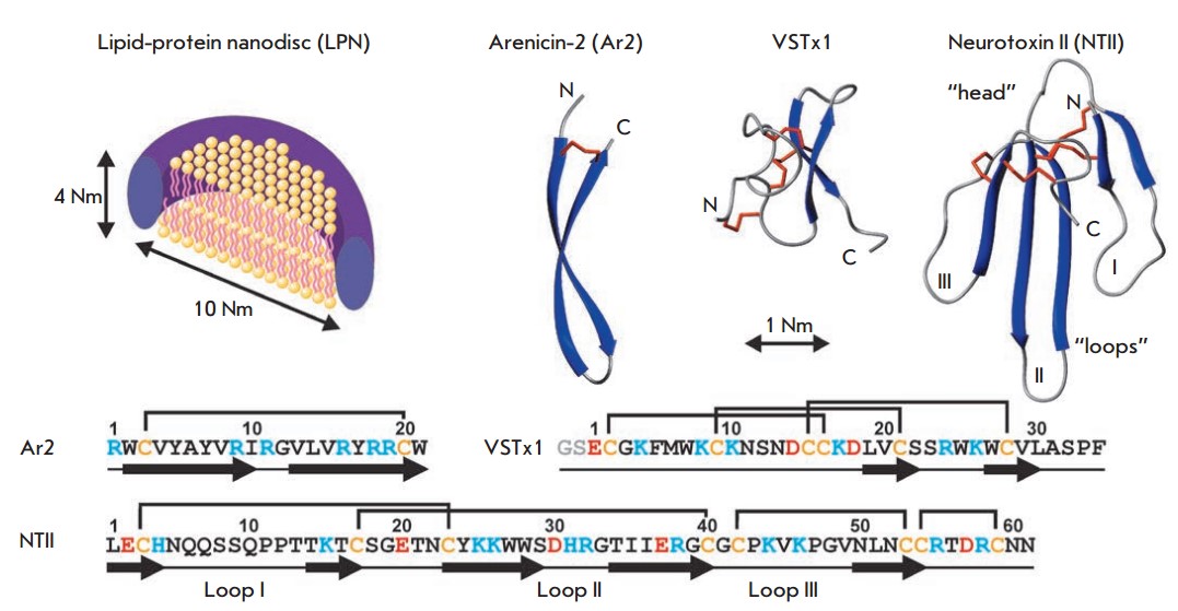 Mempro™ Peptides Nanodisc Services