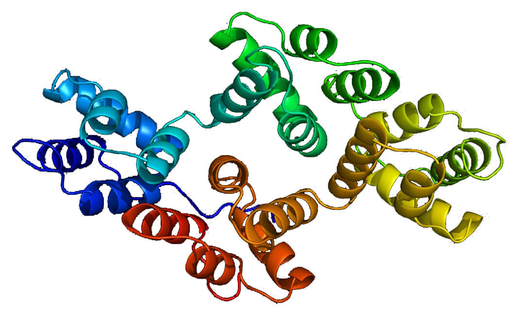 Mempro™ Plant-Based Annexin Production