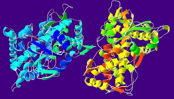 Mempro™ Plant-Based Cytochrome P450 Production
