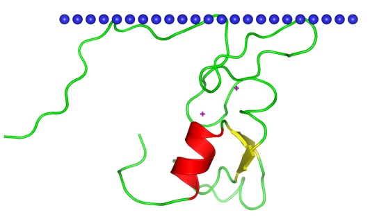 Mempro™ Plant-Based FYVE/PHD Zinc Finger Protein Production