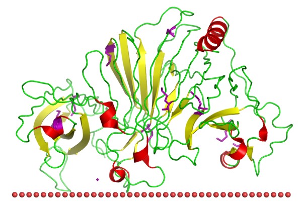 Mempro™ Plant-Based Immunoglobulin-Like Superfamily (E Set) Protein Production